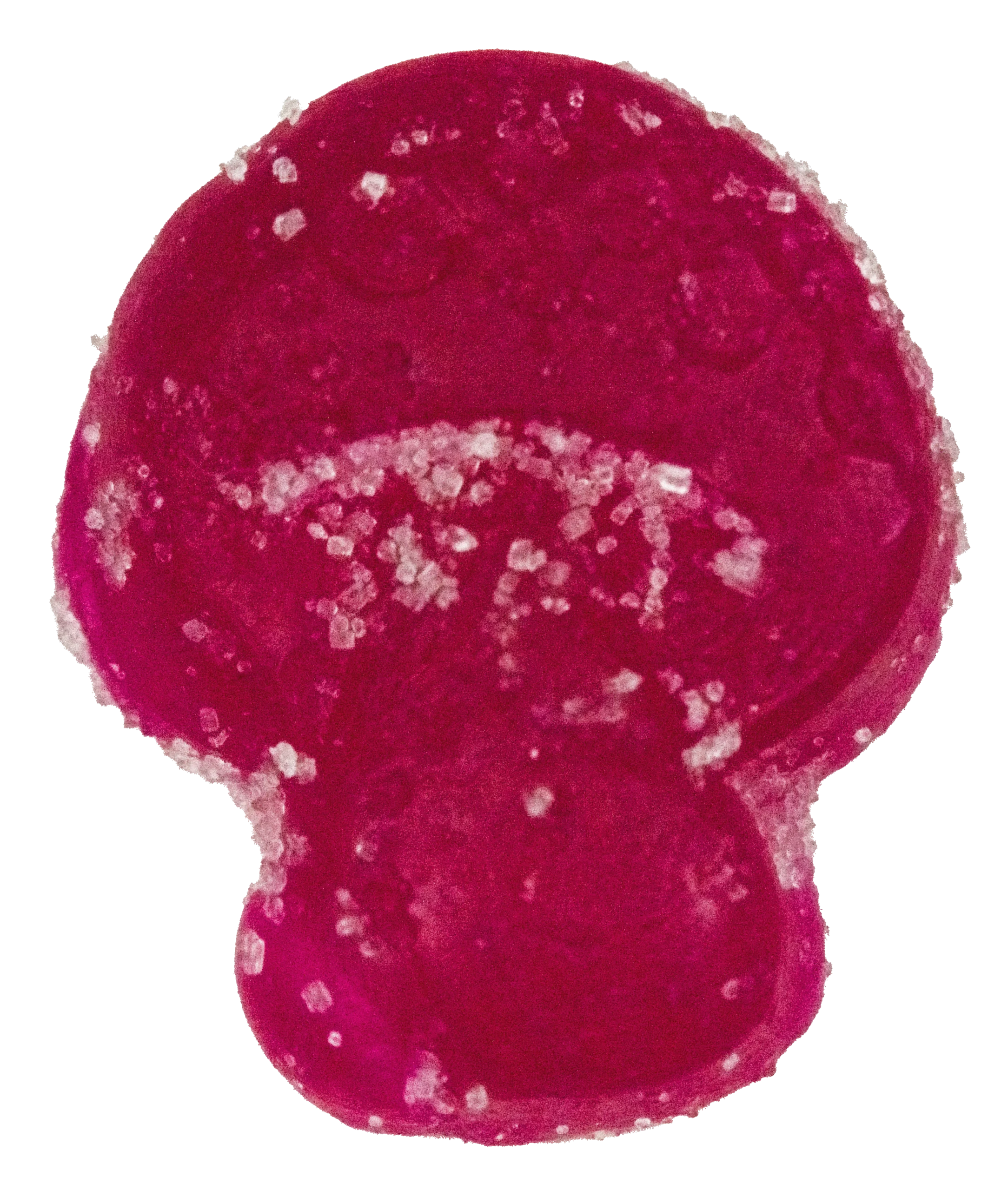 Slide 6